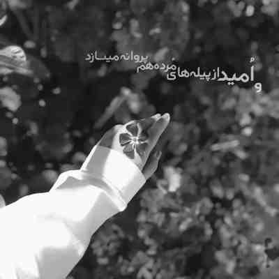 آهنگ زیبای بی نهایت رد پایت روی قلبم جا بماند