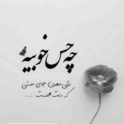 آهنگ چه زیبایی بالا بلندی چه جذابی وقتی میخندی