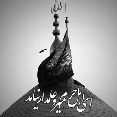 مداحی دوست دارم خاکم کنن تو کربلات آقام حسین