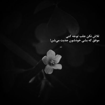 آهنگ دلی که عاشق میشه بی سروصداست