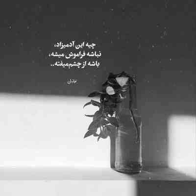 آهنگ چیکار کردم که این بوده تقاصش