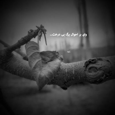 آهنگ میبینی من دارم میمیرم اما به روت هم نمیاری