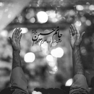مداحی زینب من مدافع حرم باش محمود کریمی