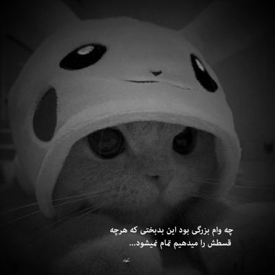 آهنگ خاطراتو فراموش میکنم مو به موشو