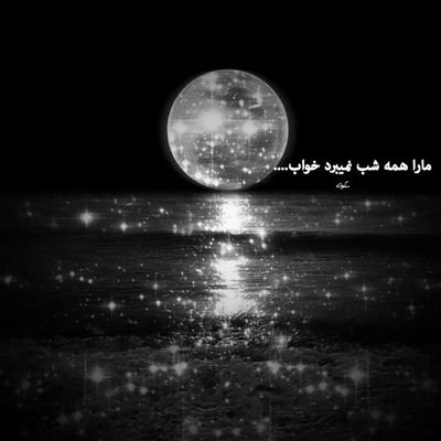 آهنگ تو شیتدم کردی و ناو ای محله