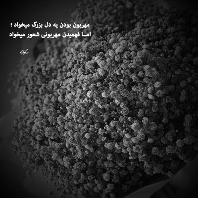 آهنگ صبح بخیر تنها دلیل حال خوبم توی این روزا