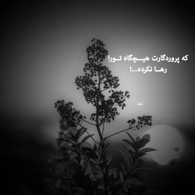 آهنگ کف خیابون تا خود صبح شهرو میگردم