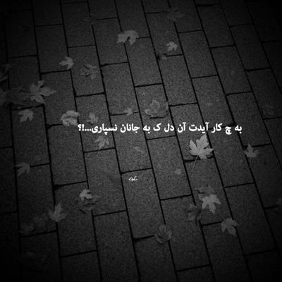 آهنگ گل شب بو دل من کو کاری کن تو عشق تو نرم از رو