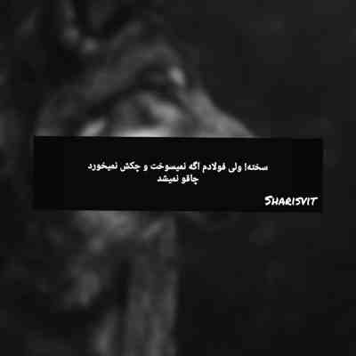 دکلمه ارغوان میبینی به تماشاگه ویرانی ما آمده‌اند هوشنگ ابتهاج