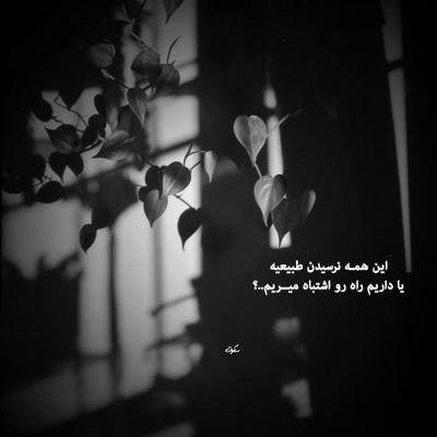 آهنگ رفت و ندید اون حالمو شکست پر پروازمو