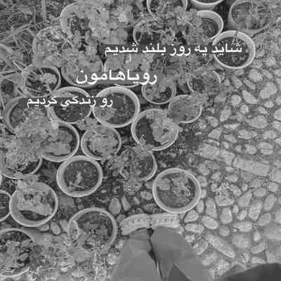 آهنگ دلم تنهاتر از هر روزشه حالم بدتر و بدتر بودش هی