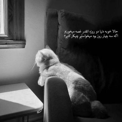 آهنگ گره خورده قلبم به رویای تو که بی تابم از دست چشمای تو