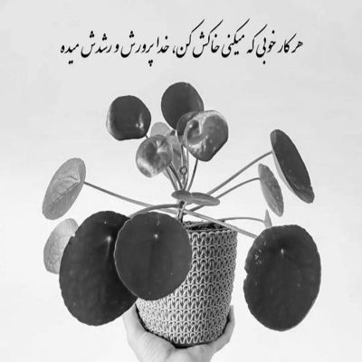 آهنگ دلم نمیگیره با تو کسی نمیگیره جاتو