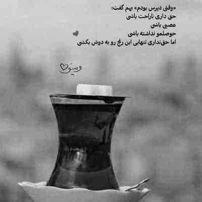 آهنگ نفسمی خب گل قلبمی عسلمی تو آره زیاد