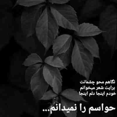 آهنگ ای آنکه مرا با ضرب تبر