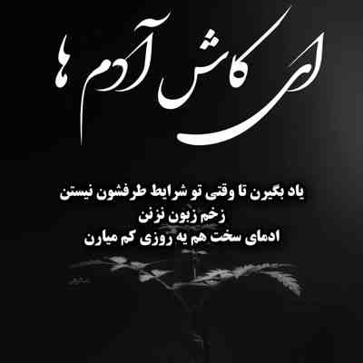 آهنگ گله کن یار شکیبا زن زیبا