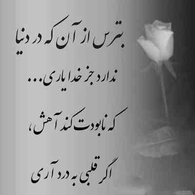 آهنگ داری دل میزنی دل میکنی تو کم کم