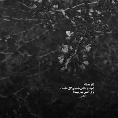 آهنگ دلم گرفته آسمون از خودتم خسته ترم