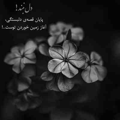 آهنگ سرتا پا طلا باشی ذاتت نجسه