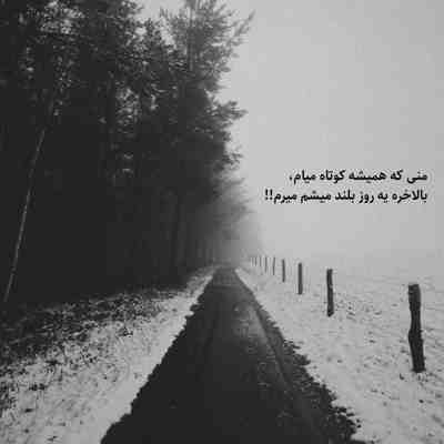 آهنگ چه دلی داشتی که شکانی دلم ریمیکس