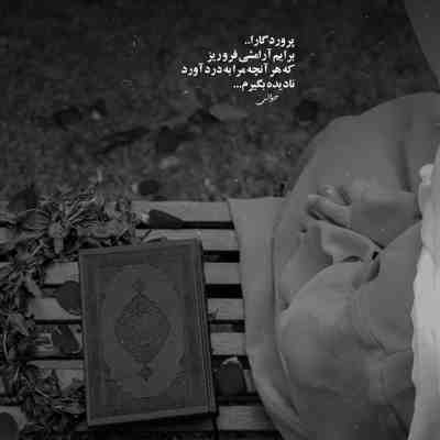 آهنگ هرکسی بیند تورا مجنون شود