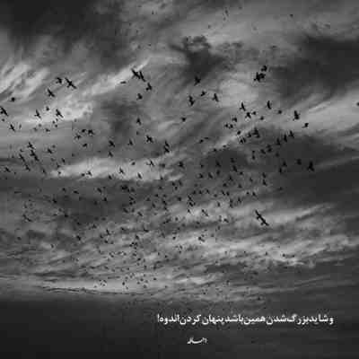 آهنگ دل که بگیره نفس میگیره