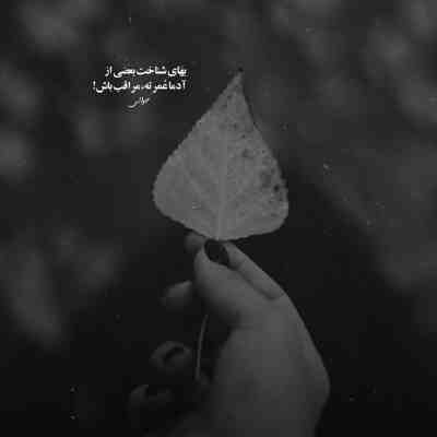 آهنگ آنچه کردی با دل من قصه سنگ و سبو بود