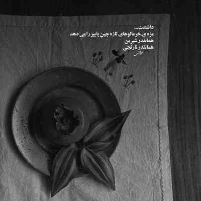 آهنگ عاشقان پنجره باز است اذان میگویند