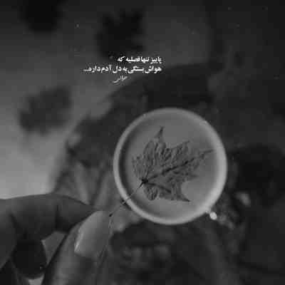 آهنگ من نمیگم همه میگن عشق تو وفا نداره