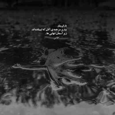 آهنگ شنیدم زیبایی کل آرایش دنیایی