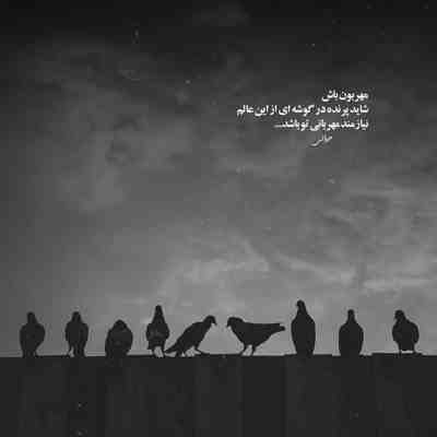 آهنگ دیگه حتی امروز اسم منم یادت نیست