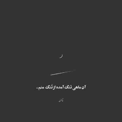 آهنگ گلچین روزگار عجب گلی رو چیده