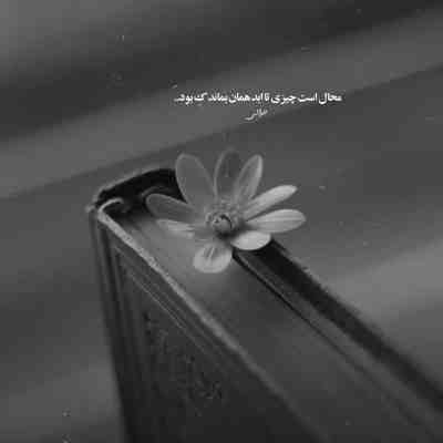 آهنگ لالایی کن بخواب خوابت قشنگه گرشا رضایی