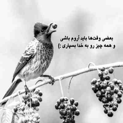 آهنگ الهی هیچ وقت نبینم نبینم اشک و ماتمت