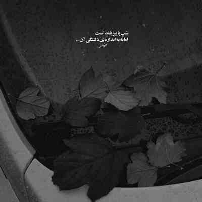 آهنگ تورو خدا ببین چه حالیم نگو که میری