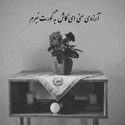 آهنگ کی ارزو کرد امشب دلم بگیره کامی یوسفی