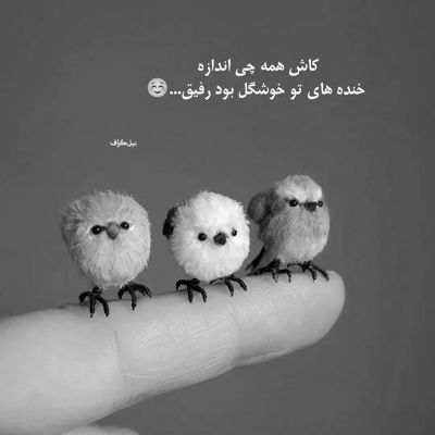 آهنگ ضربان قلب من رگ خواب من