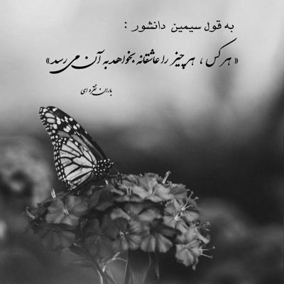 آهنگ گل من ‎مثل پروانه میگردم دوره شمع