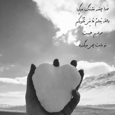 آهنگ من یه برکم وسط قلب یه بیشه