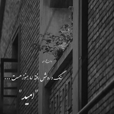 آهنگ خواستم امسال و بگیرم جشن نشد ماه تو ‌آسمون نشون داد حلقشو