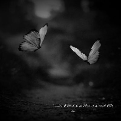 آهنگ من صدمو برات گذاشتم که جون و دلت نگیره