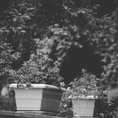 آهنگ پدر دستاش پناهه تو قلبم پادشاهه