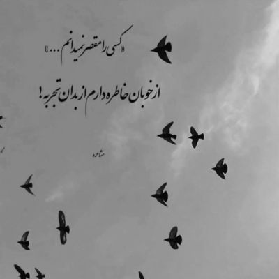 آهنگ دلبر عشق اول و آخر تو شدی انتخابم