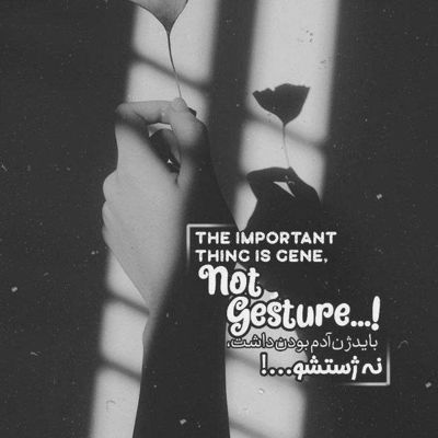 آهنگ آروم آروم جاته بهسی من قلبم سعید محمدی