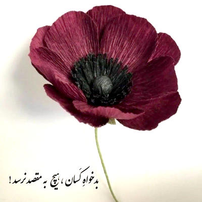 آهنگ نیستی اما من هنوزم از روی عادت واسه تو گل میگیرم