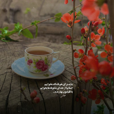 آهنگ یکی یه دونه ی دلم شدی من با تو خوبه حالم