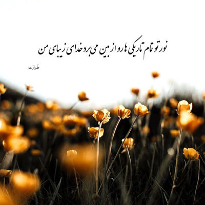 آهنگ توی شب چشمات دوتا ستارس تو تار موهات مثل ابریشمه