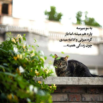 آهنگ با همه فرق دارما ببین هنوز من عطرتو دوست دارما