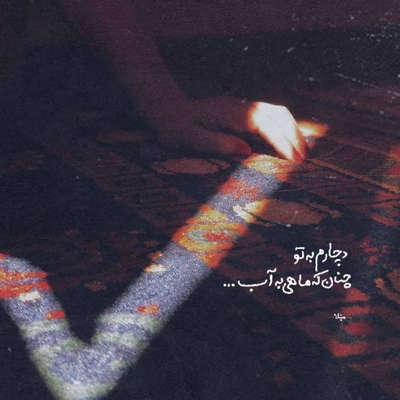 آهنگ تو لونه ای من پرندم تورو فقط من بلدم