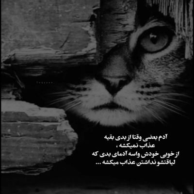 آهنگ هر جا شونی می سایه